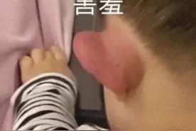 “猞猁”？这俩字怎么读我都不知道，别说它是个坦克了图片