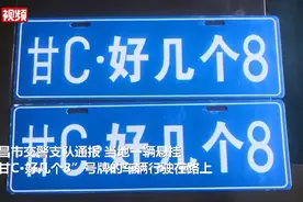 挂奇葩车牌“甘C好几个8”上路被查图片