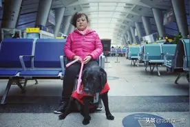 “明星”导盲犬珍妮退役：最后一次乘坐地铁，依然遭到阻拦图片