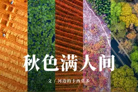 来了！中国赏秋地图图片