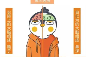 「未来医生」秋季鼻炎复发，堪比不死“绝症”图片