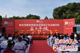 青龙湾奥特莱斯新营销中心开放 开启全新滨江辉煌时代图片