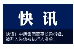 中庚集团最新回应：已与申请执行人达成和解，并解除限制消费措施图片