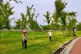美丽涟水，我来守护图片