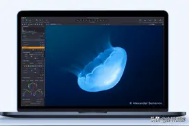 Capture One系列教程--曲线调整工具图片