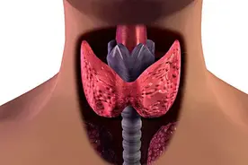 【科普】甲状腺那些事图片