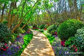 在南宁三岸卖一万二的银河龙湖江与城！它卖亏了，还是你买亏了？图片