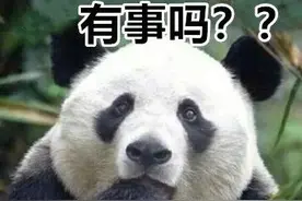 听说，成都的动物都跑上街了？图片