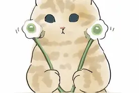 猫猫日常：减肥不易，猫生艰难图片