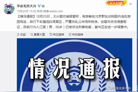 动物园里的迷惑行为 “鉴赏”图片