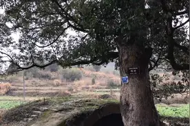 安徽的深山里，发现最后的匈奴部落，还保留着奇怪的习俗图片