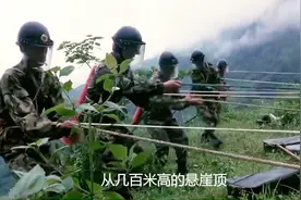 震惊世界的中越边境雷区，排雷有多难？上百万颗地雷至今无法排除图片