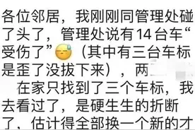 “熊孩子”掰断小区12辆奔驰、2辆迈巴赫车标，家长无语了...图片