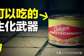 堪比生化武器的黑暗美食，历史十分悠久图片