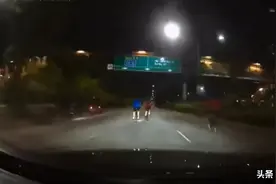 八名脚踏车骑士夜占快速公路！后方车辆狂按喇叭图片