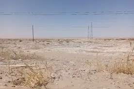 拥有第一批蚂蚁森林的阿拉善明珠，盐湖小镇吉兰泰今天是什么样？图片