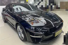 卖家：5.0大V8才叫野马，客户：你这马儿胃不太好图片
