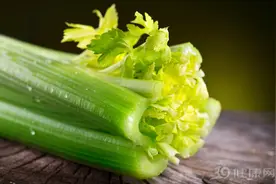 芹菜能降血压，是真相还是骗局？医生终于说了实话图片