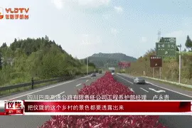 巴南高速仪陇段：生态高速迎四方游客图片