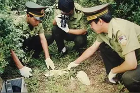 1993年，河北农妇在田里发现“死猪”，警方调查后，牵出24具女尸图片
