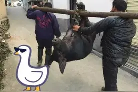 福彩3d297期太湖字谜图片