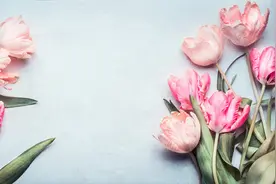 真正相爱的人，兜兜转转，还是会相逢图片