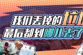 胎盘中发现塑料！科学家认为以后人类都会变成“塑料人”图片