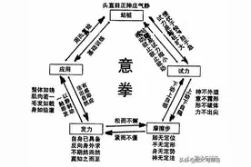 意拳的秘密图片