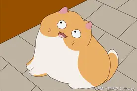 晒太阳真能让你的猫开心起来？图片