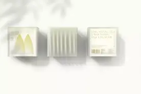 突出茶叶自身意境的现代包装图片