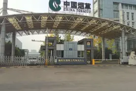 部分烟草价格调整，10元以下的烟会成为历史么？图片