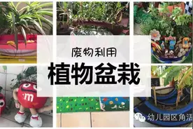 让植物角的盆栽焕发新生，环境装扮美美哒图片