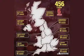 456例，英国单日确诊再创新高！首例高官感染后，首相却不做检测图片
