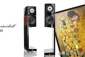 独一无二的维也纳之声旗舰书架箱The Kiss吻图片
