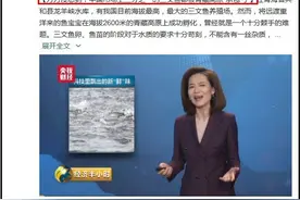 震惊，三文鱼也得新冠病毒！你不知道的三文鱼知识还有哪些？图片