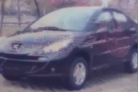 爱车送检测站年审，两小时后变报废车，车主讨要说法反被污蔑图片