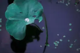 刻薄之人，永远不会幸福图片
