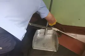 余庆一居民家中来了一条蛇……图片
