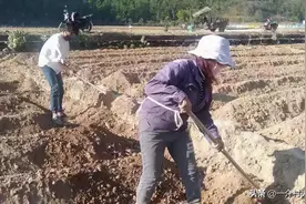 有人20岁没地，有人去世十几年还有地！专家却说合理，为啥？图片