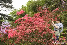 池州十大网红打卡地图片