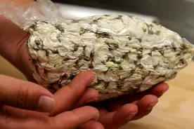 新鲜槐花好吃难保持，教你2种方法，让槐花的美味延续到冬天图片