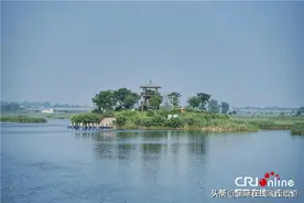 渭南市大荔县：盛夏来了 风景这边独好图片