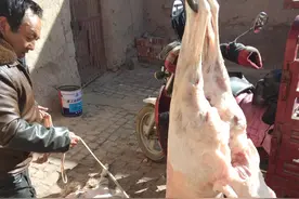 羊身上的这块肉，羊肉贩子如获至宝，宁愿留着自己吃也舍不得卖图片