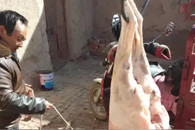 羊身上的这块肉，羊肉贩子如获至宝，宁愿留着自己吃也舍不得卖图片
