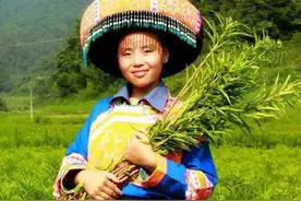 赶黄草，别喝酒了吃草吧图片