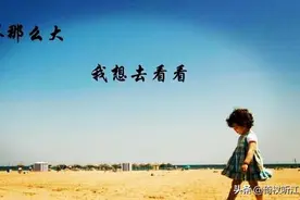 为什么流浪，流浪远方图片