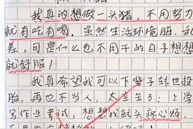 小学生梦想“做一头猪”，不用努力就有吃有喝，老师的评语成亮点图片