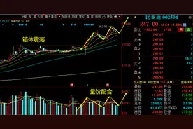 金发科技、比亚迪、阳光电源、三一重工上升趋势龙头，谁空间最大图片