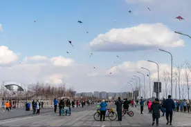 周末，大量市民到哈尔滨大剧院放风筝图片