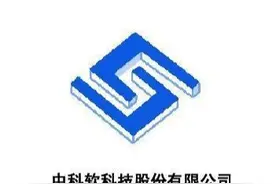 保险IT“独角兽”中科软，股价为何跌跌不休图片